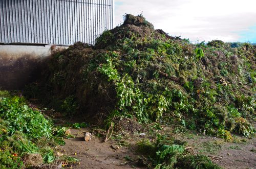 déchets verts praxy